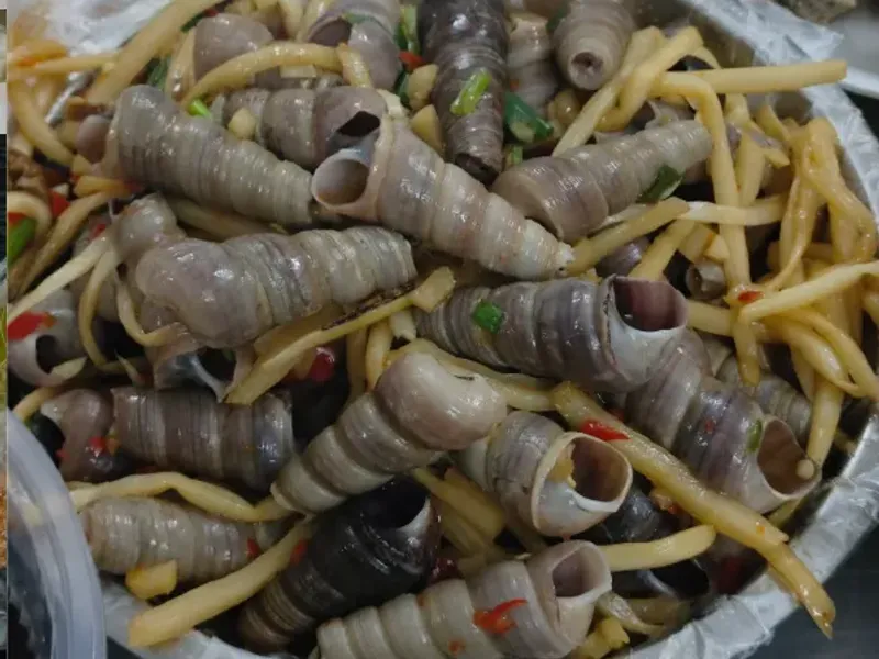 Stir-Fried Conch
