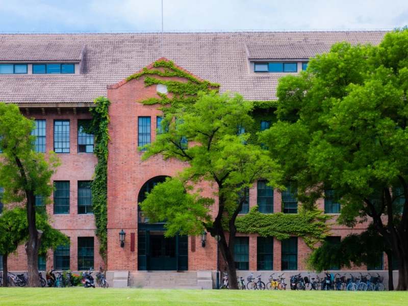 Tsinghua Garden