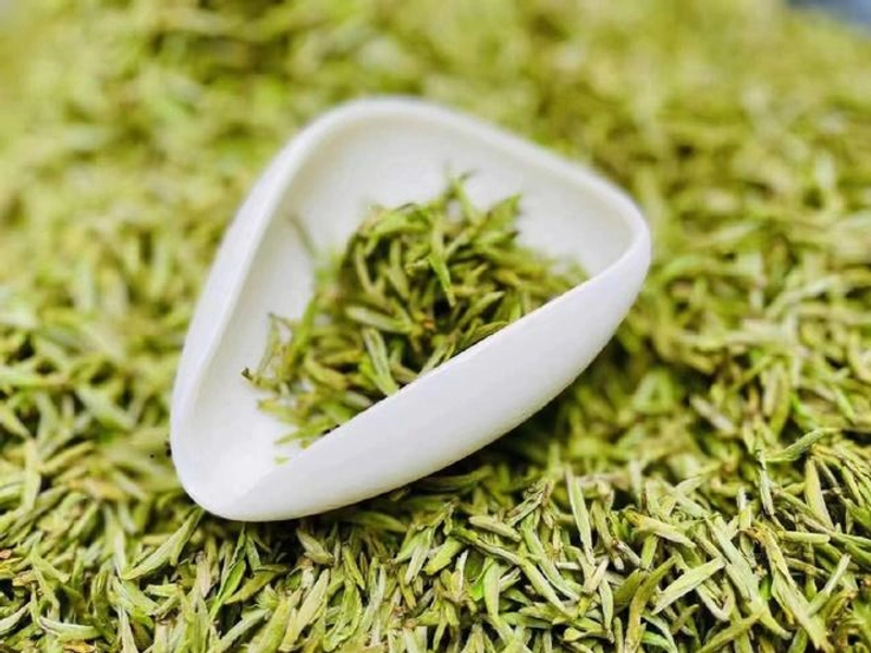 Huangshan Maofeng tea with delicate white tips in high-altitude misty gardens