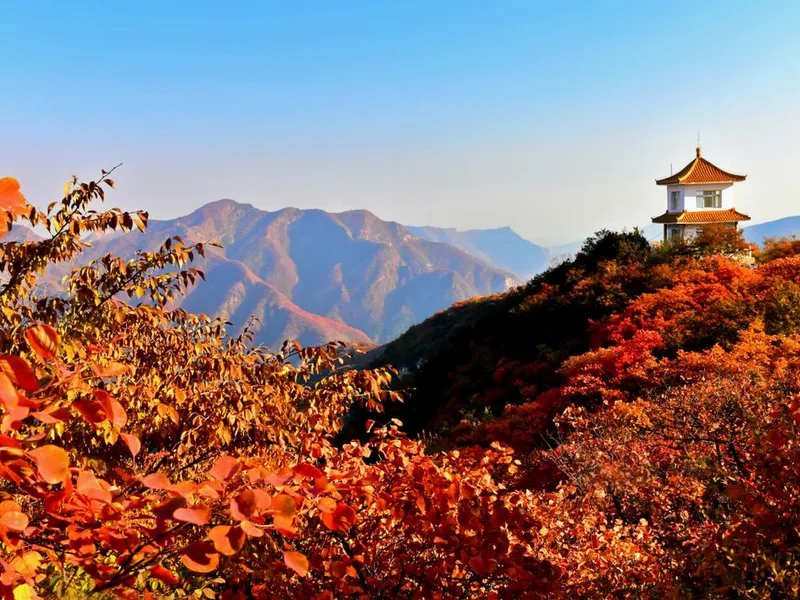  Fragrant Hills Park
